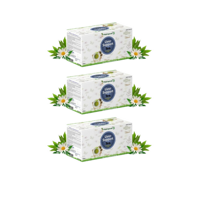 Planet Ayurveda Liver Support Tea