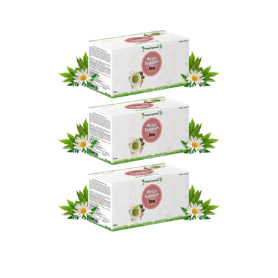 Planet Ayurveda Respi Support Tea