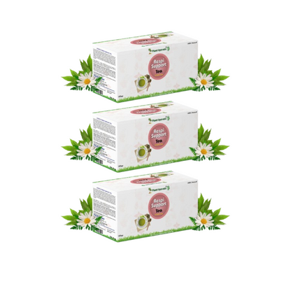 Planet Ayurveda Respi Support Tea