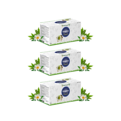 Planet Ayurveda Slimolina Tea