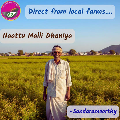 Ammi Samayal Country Coriander Seeds