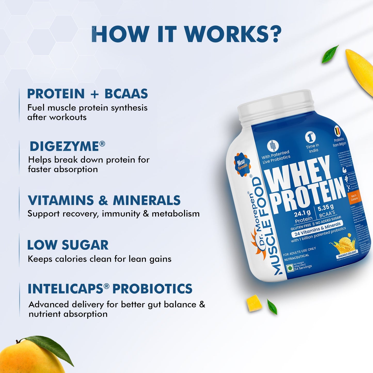 Dr Morpen Muscle Food Whey Protein