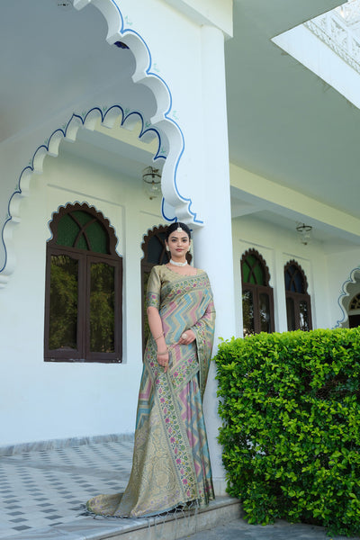 Indyancart GR Women's Rangkat Ash Grey Leheriya Design Banarasi Organza Saree