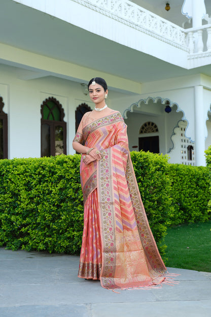 Dhiyona GR Women's Rangkat Salmon Pink Leheriya Design Banarasi Organza Saree