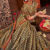 Dhiyona GR Women's Rashmika Dovetail Grey Zari Woven Design Banarasi Organza Saree
