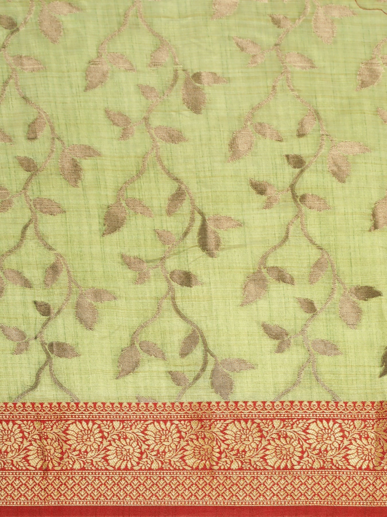 Dhiyona GR Women's Rewaa Kiwi Green Zari Woven Design Banarasi Pure Cotton Saree