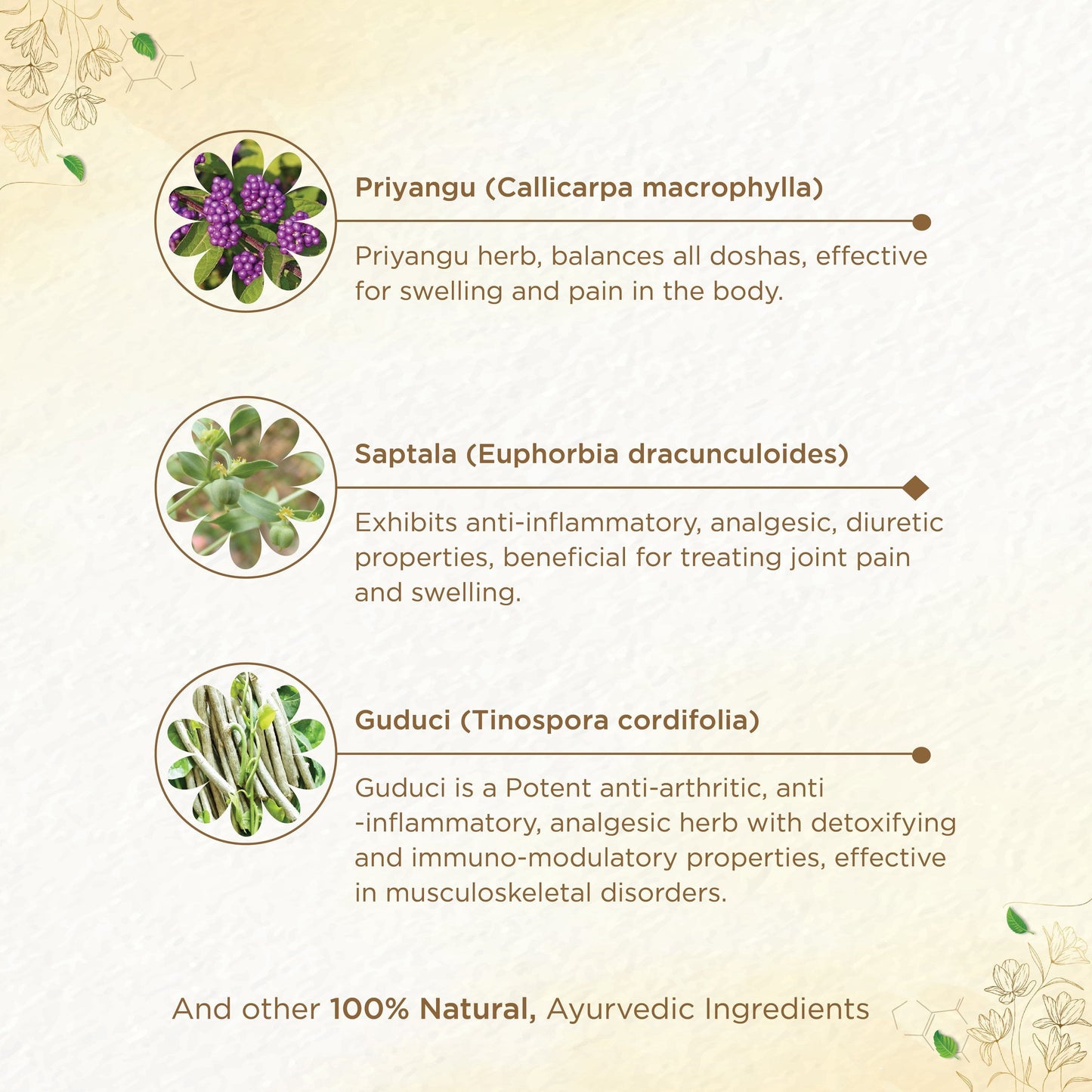 Shreevarma Rheunil Capsules