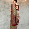 Dhiyona RV Women's Banarasi Cotton Silk With Patola Weaving Pattern Saree With Blouse ( KVD1341 )