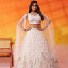 Cream-Net Fabric Sequins Thread & Embroidery Semi-Stitched Lehenga & Unstitched Blouse With Dupatta
