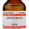 Dr. Willmar Schwabe India Calotropis Gigantea Dilution