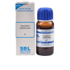 SBL Homeopathy Fraxinus Americana Mother Tincture Q