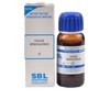 SBL Homeopathy Fucus Vesiculosus Mother Tincture Q