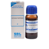 SBL Homeopathy Pothos Foetidus Mother Tincture Q