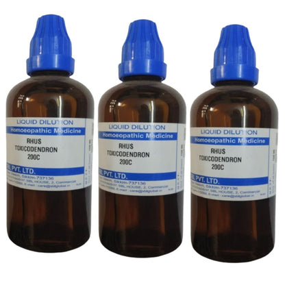 SBL Homeopathy Rhus Toxicodendron Dilution - Indyancart