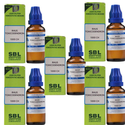 SBL Homeopathy Rhus Toxicodendron Dilution - Indyancart