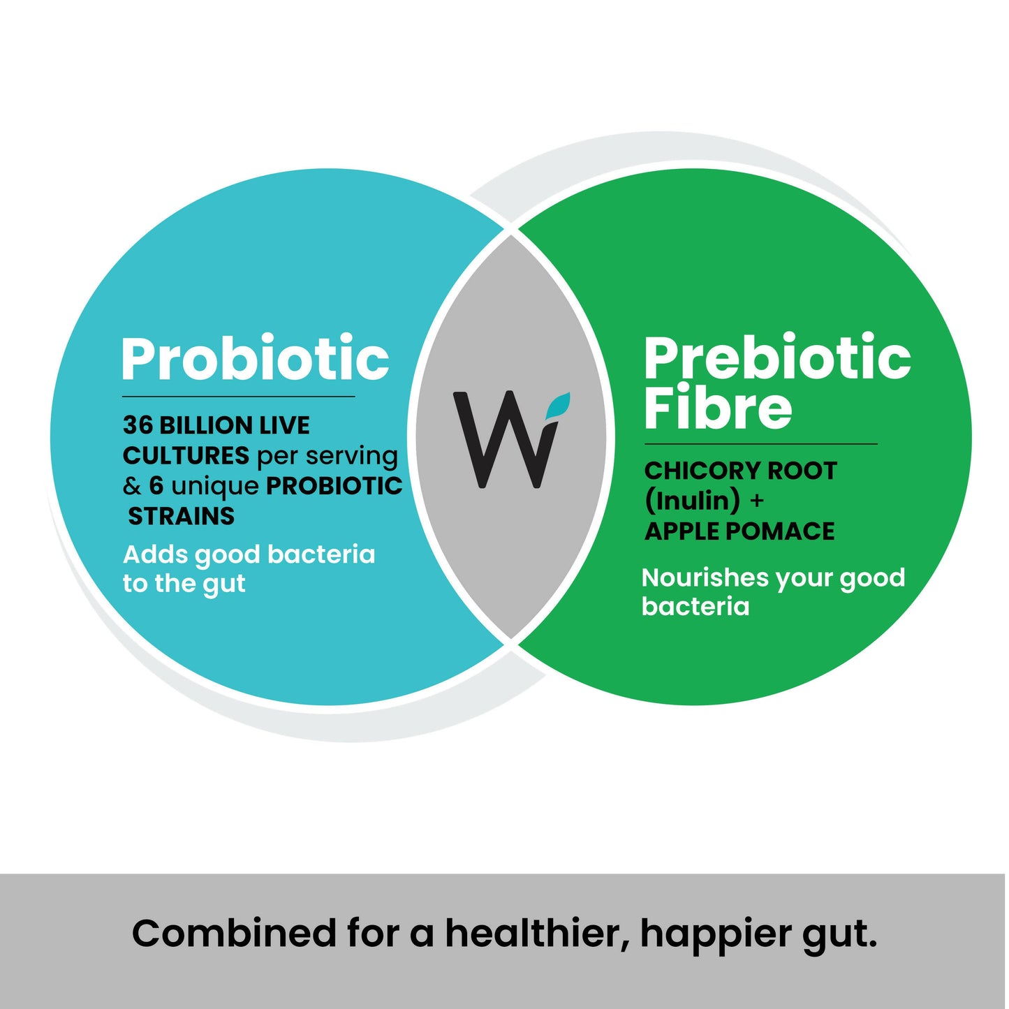 Wellbeing Nutrition Probiotic + Prebiotic Effervescent Tablets-Green Apple & Mint Flavor - Indyancart