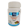 Sagar Ayurveda H Gum Massage Powder