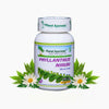 Planet Ayurveda Phyllanthus Niruri Capsules