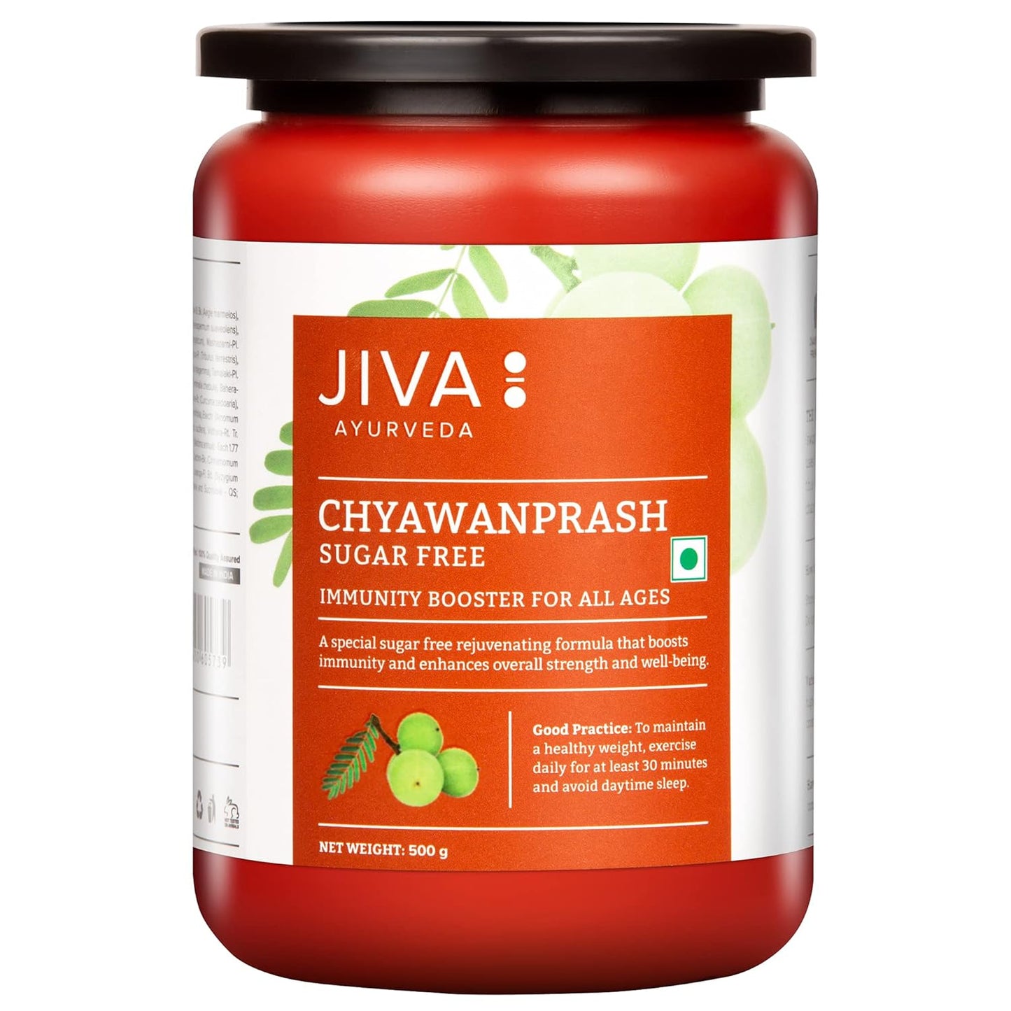 Jiva Ayurveda Sugar Free Chyawanprash