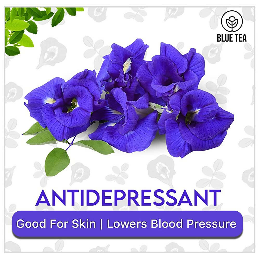 Blue Tea Butterfly Pea Herbal Tea Bags - Indyancart