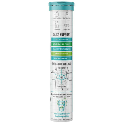 Wellbeing Nutrition Probiotic + Prebiotic Effervescent Tablets-Green Apple & Mint Flavor - Indyancart