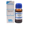 SBL Homeopathy Andrographis Paniculata (Kalmegh) Mother Tincture Q