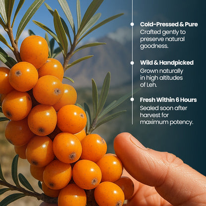 Krishna's Herbal & Ayurveda Sea Buckthorn Juice in a clear glass bottle, with vibrant orange sea buckthorn berries around it.