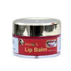 Payal's Herbal Lip Balm