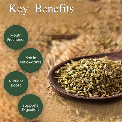 IKAI Organic Fennel Seeds