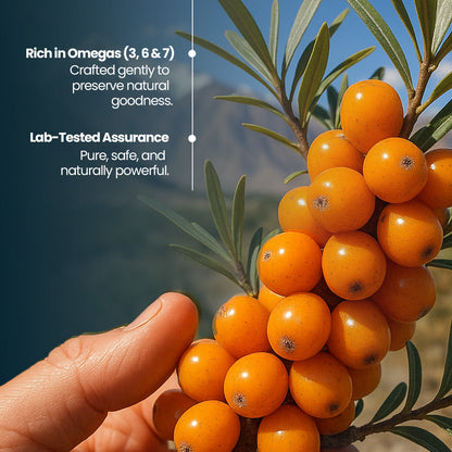 Krishna's Herbal & Ayurveda Sea Buckthorn Juice bottle, showcasing vibrant orange liquid in a clear glass bottle for Ayurvedic drinks.