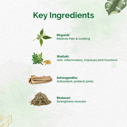 Dr. Vaidya's Pain Relief Oil
