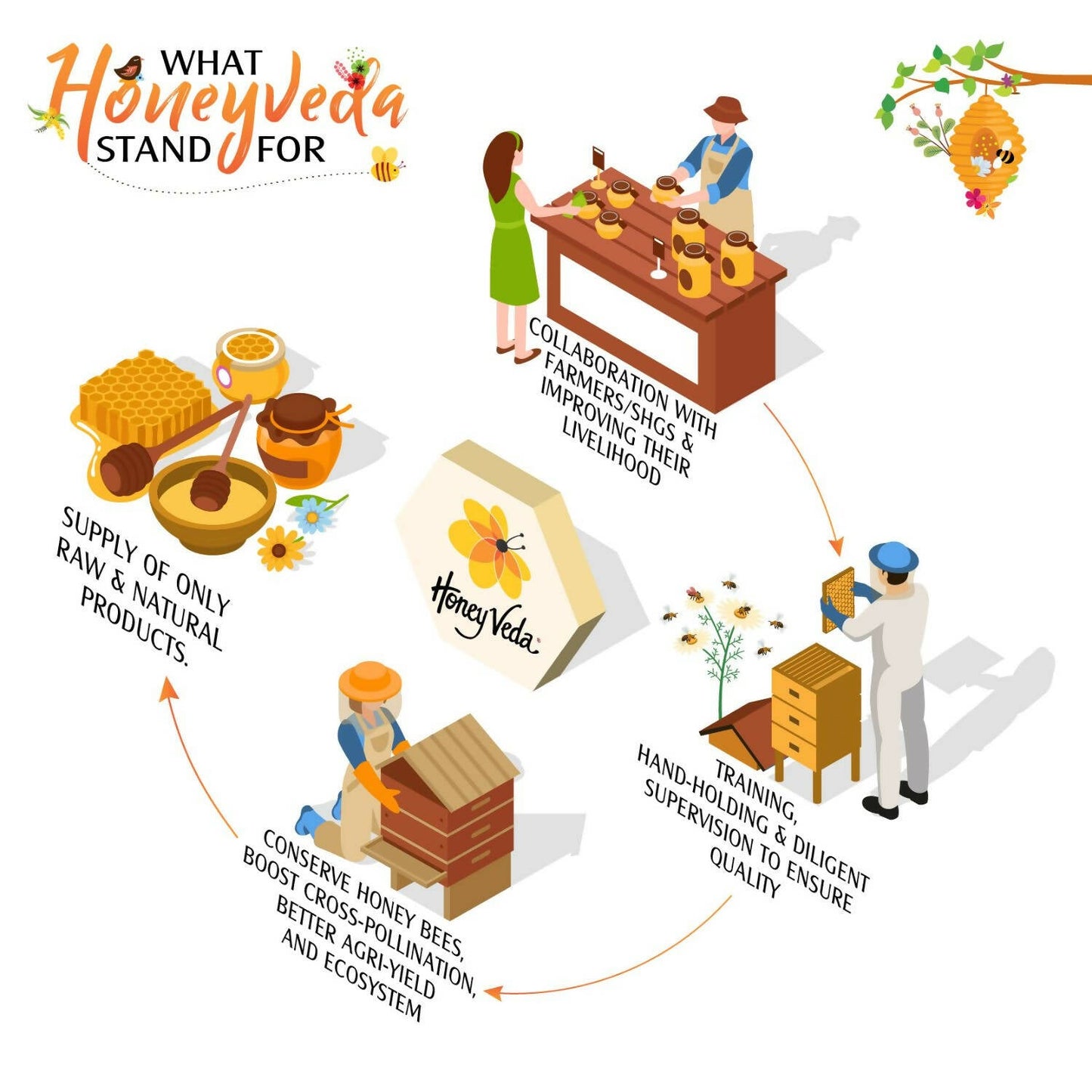 HoneyVeda Premium Raw Fennel Honey