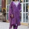 Dhiyona VV Shehnai Women Kurta and Pant Sets Silk Blend Fabric