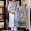 Dhiyona VV Women's Silk Blend Kurta Pant Dupatta Set