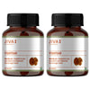 Vijaysar Tablets Supports Blood Sugar Control 100% Natural Ayurvedic Herb Good For Diabetes - 60 Tablets