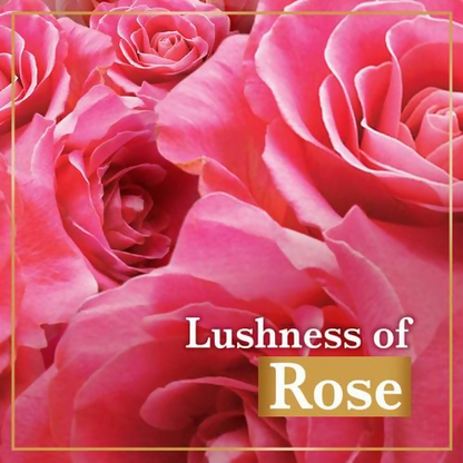 Lux Soft Touch Silk Essence & Rose Water Soap Bar