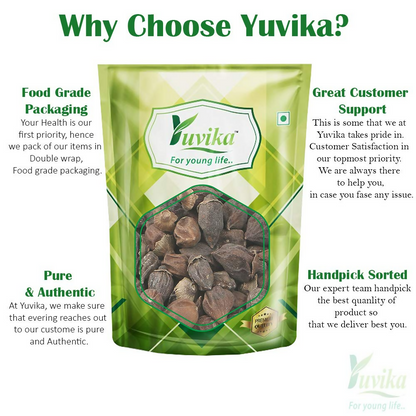 Yuvika Lisodha - Lisoda - Lesuya - Dry Lesua