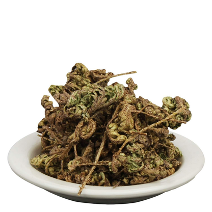 Yuvika Laxman Booti Ayurvedic herbal supplement in a small jar, containing Selaginella Bryopteris for wellness.