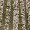 Nathu's Pure Pista Louge