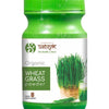 Siddhagiri's Satvyk Organic Wheatgrass Powder