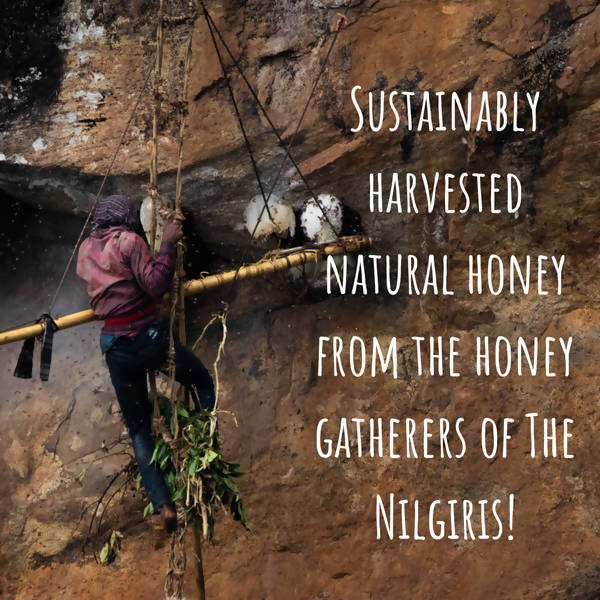 Lastforest Cardamom Honey