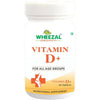 Wheezal Vitamin D+ Tablets
