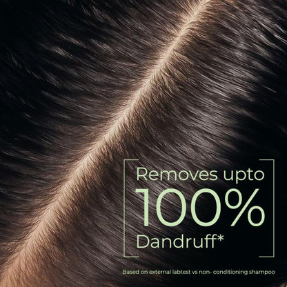 Naturali Dandruff Defence Shampoo with Tea Tree Oil & Cactus Extracts That Prevents Dandruff 370ml
