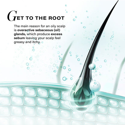 Novology Sebosys Control Scalp Serum, 48 Hours Oil Control, Dermat Tested, Oily, Greasy, Flaky Scalp