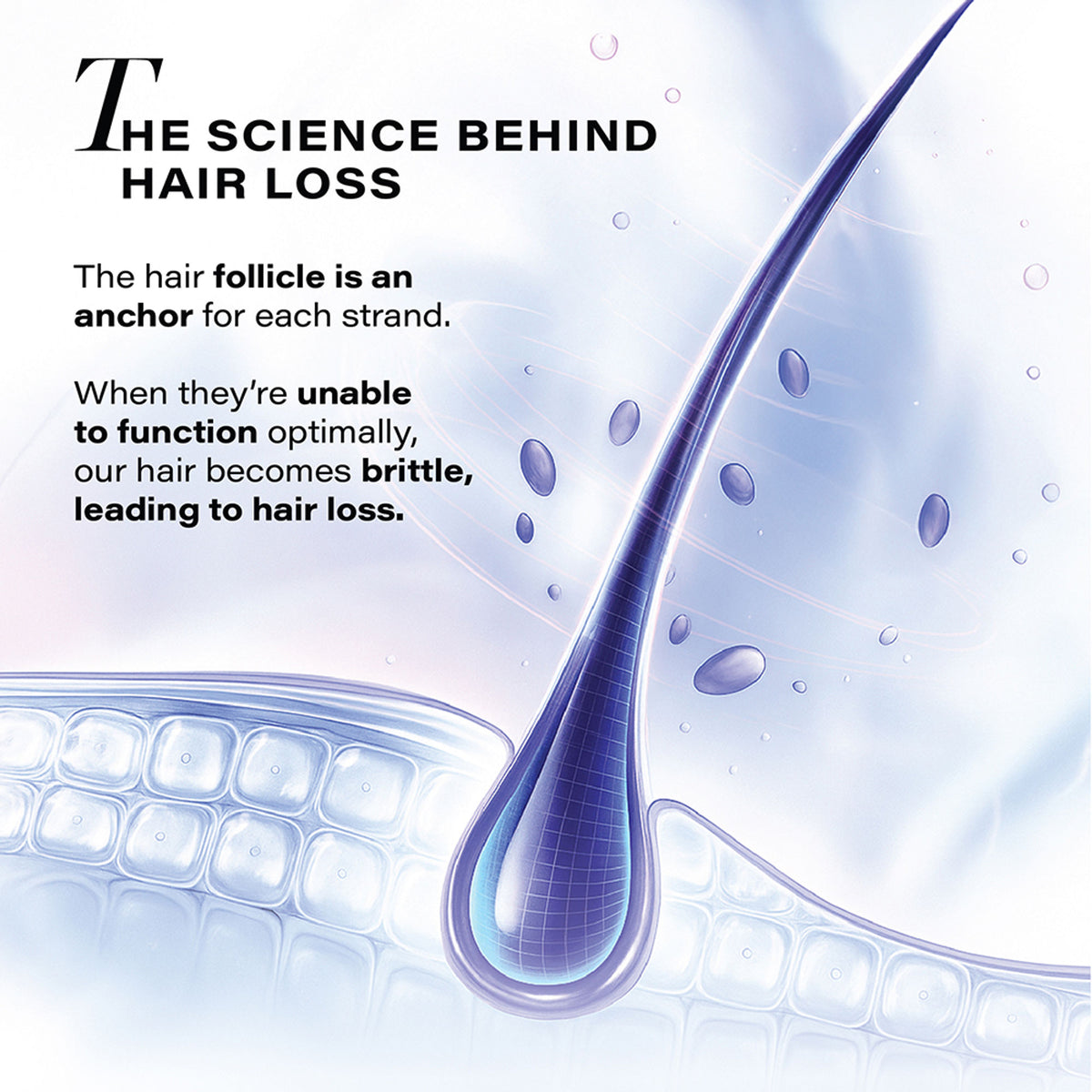 Novology Follicle Revive Scalp Serum, For Hair Growth, Suitable For Sensitive Scalp, Dermat Tested