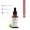Suganda 10% Vitamin C + 2% Arbutin Face Serum For Brightening & Glowing Skin, Removes Dark Spots