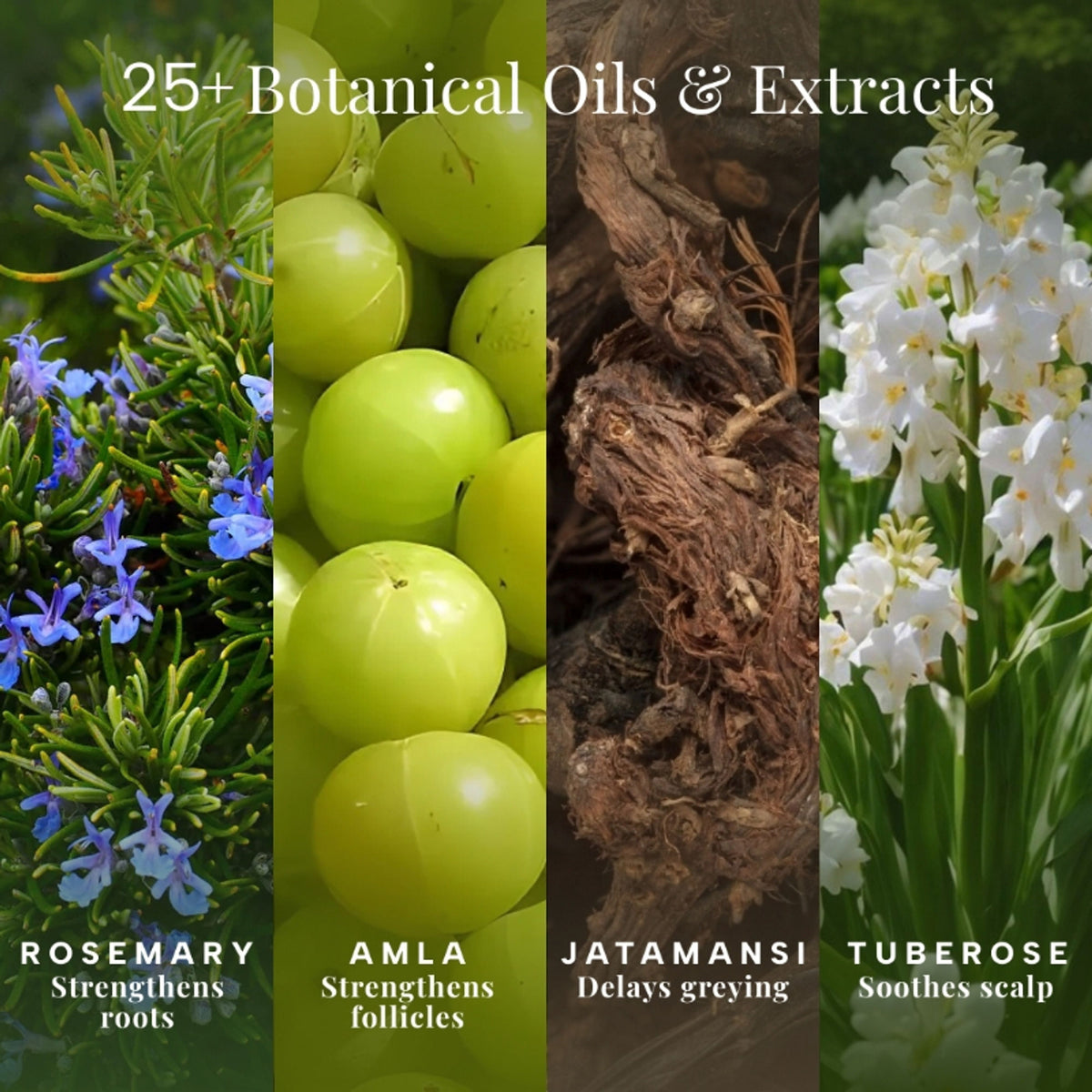 RAS Luxury Oils Root-Ine Hair Elixir With 30 Regenerative Botanicals