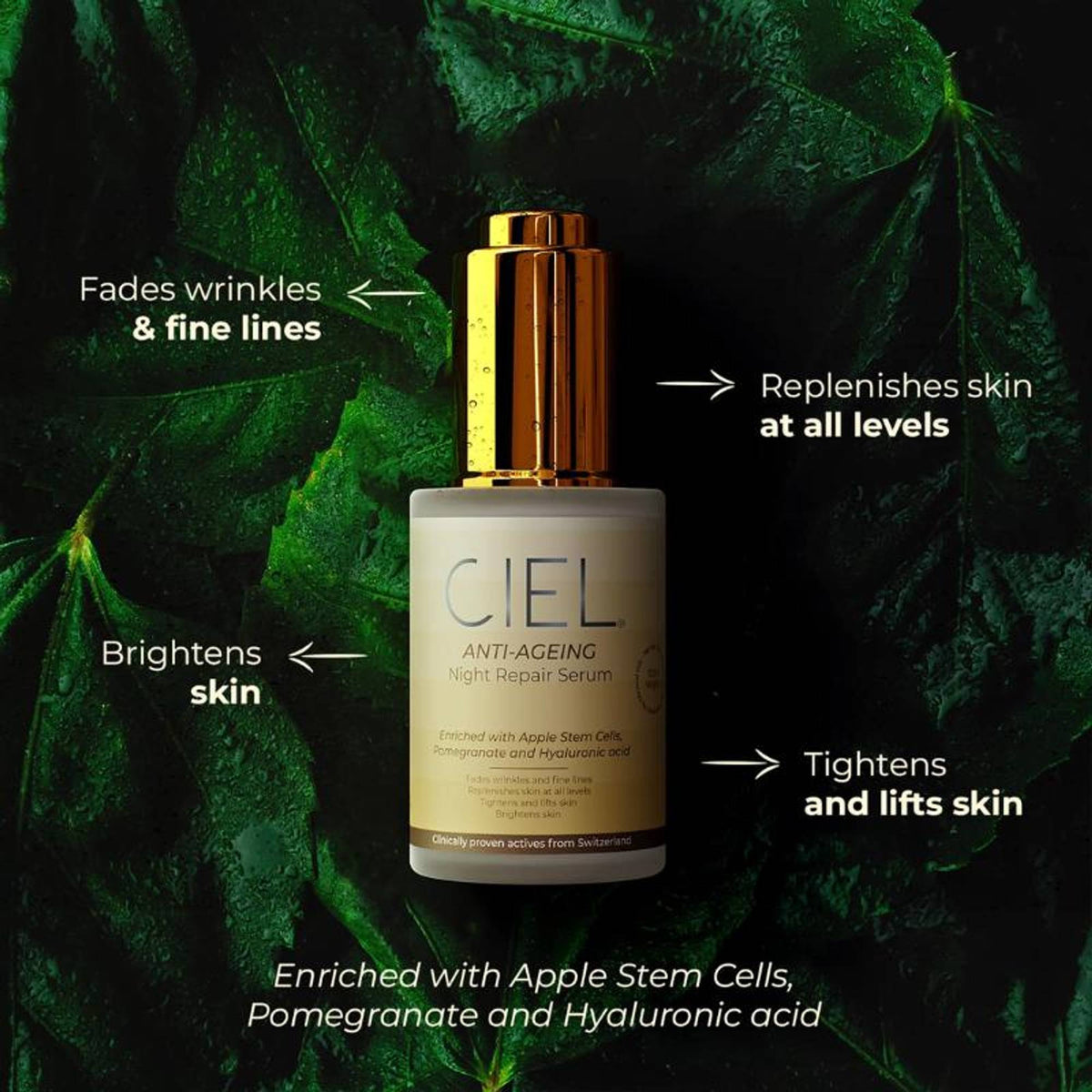 Ciel Anti Ageing Night Serum