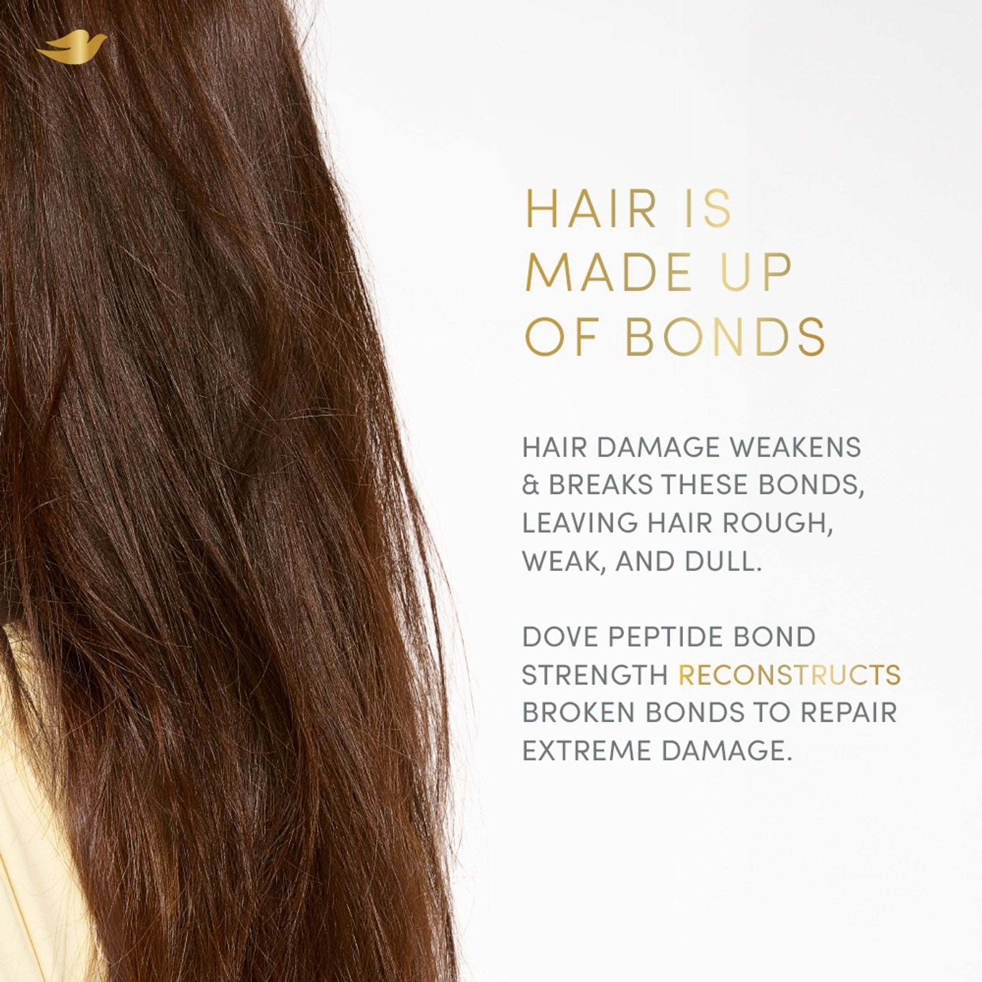 Dove Peptide Bond Strength Shampoo
