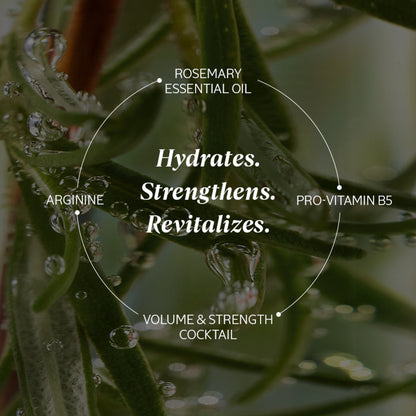 L'Occitane Strength & Volume Conditioner